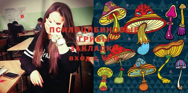 крисы Россошь