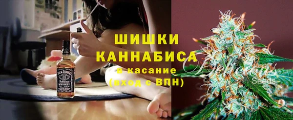 крисы Ростов