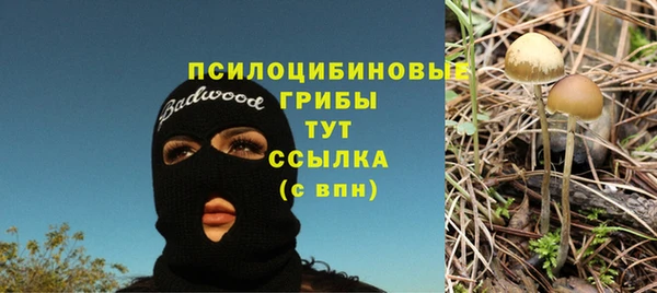каннабис Абаза
