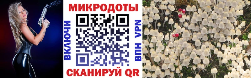 Псилоцибиновые грибы мухоморы  Горбатов 